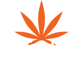 Lake Leaf Cultivation